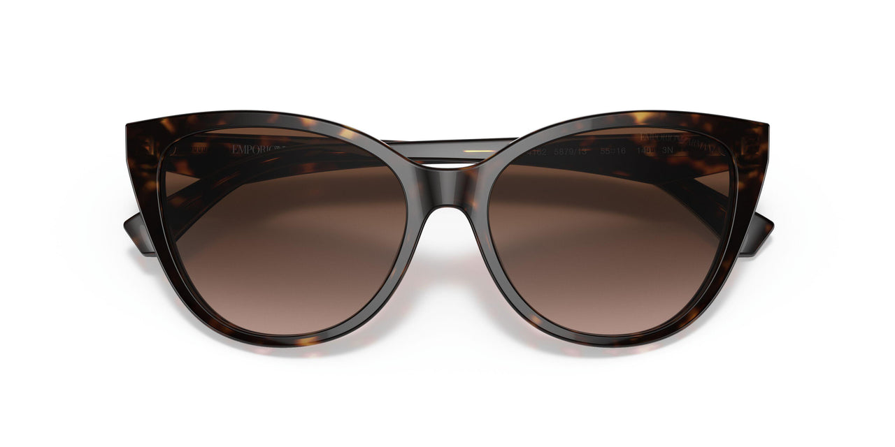 587913 - Havana - Gradient Brown