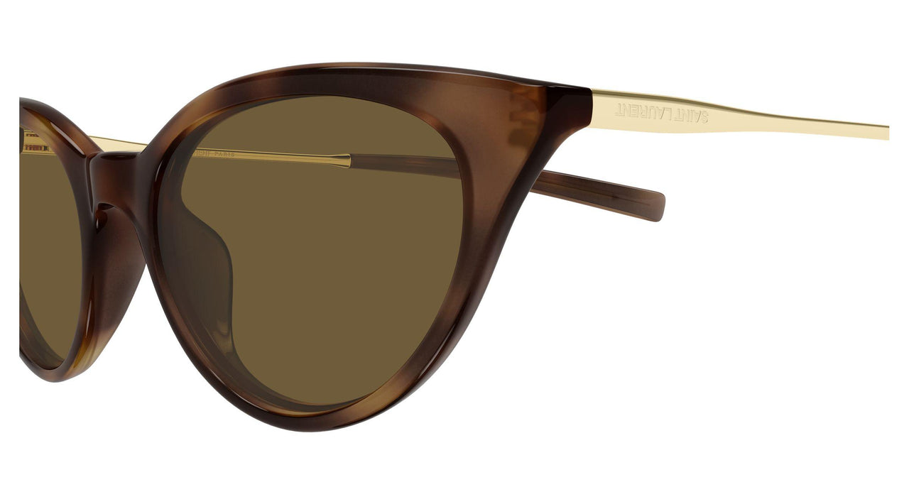 003 - Havana/Gold - Brown