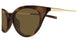 003 - Havana/Gold - Brown