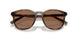 597473 - Tortoise - Dark Brown