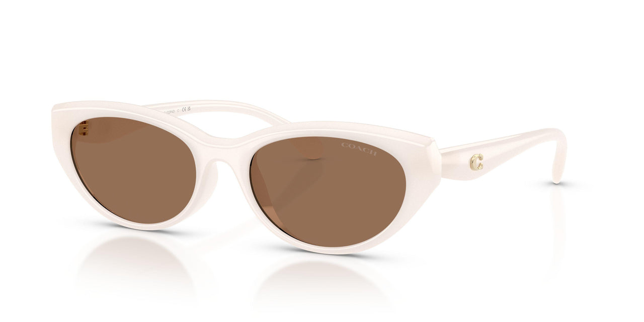 579073 - White - Brown Solid