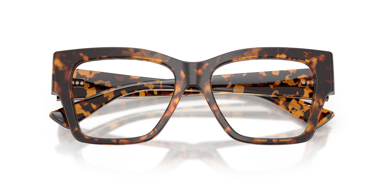 5121 - Tortoise