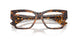 5121 - Tortoise