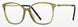 Silhouette Rising Dawn 1619 Eyeglasses