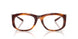 2003 - Tortoise