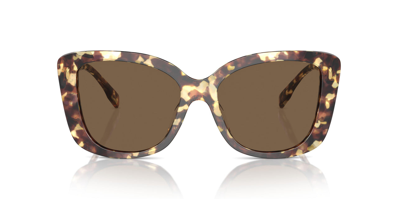 199573 - Tortoise - Dark Brown