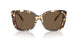 199573 - Tortoise - Dark Brown