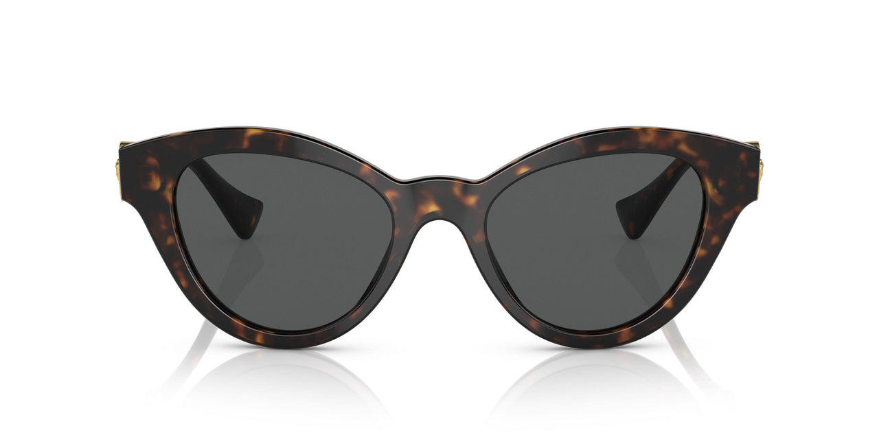 108/87 - Havana - Dark Grey