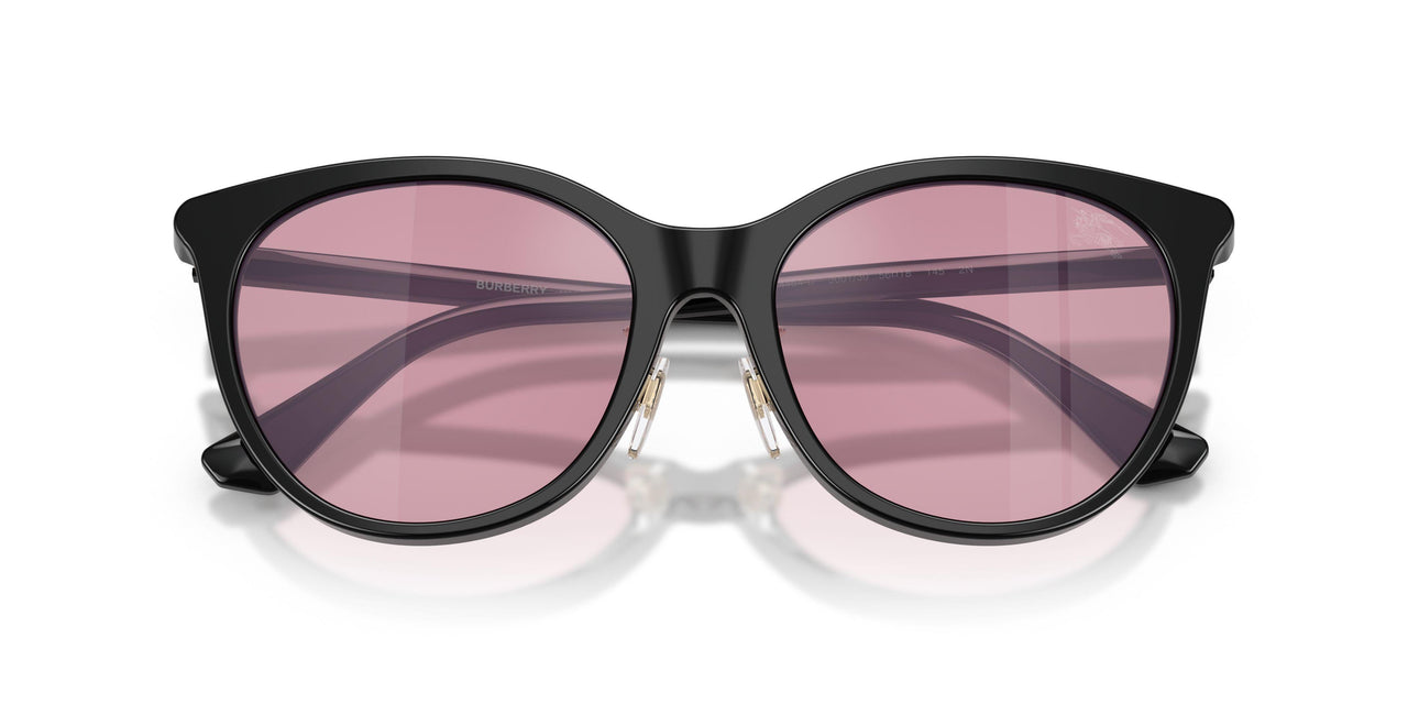 300130 - Black - Rosa Specchio Argento
