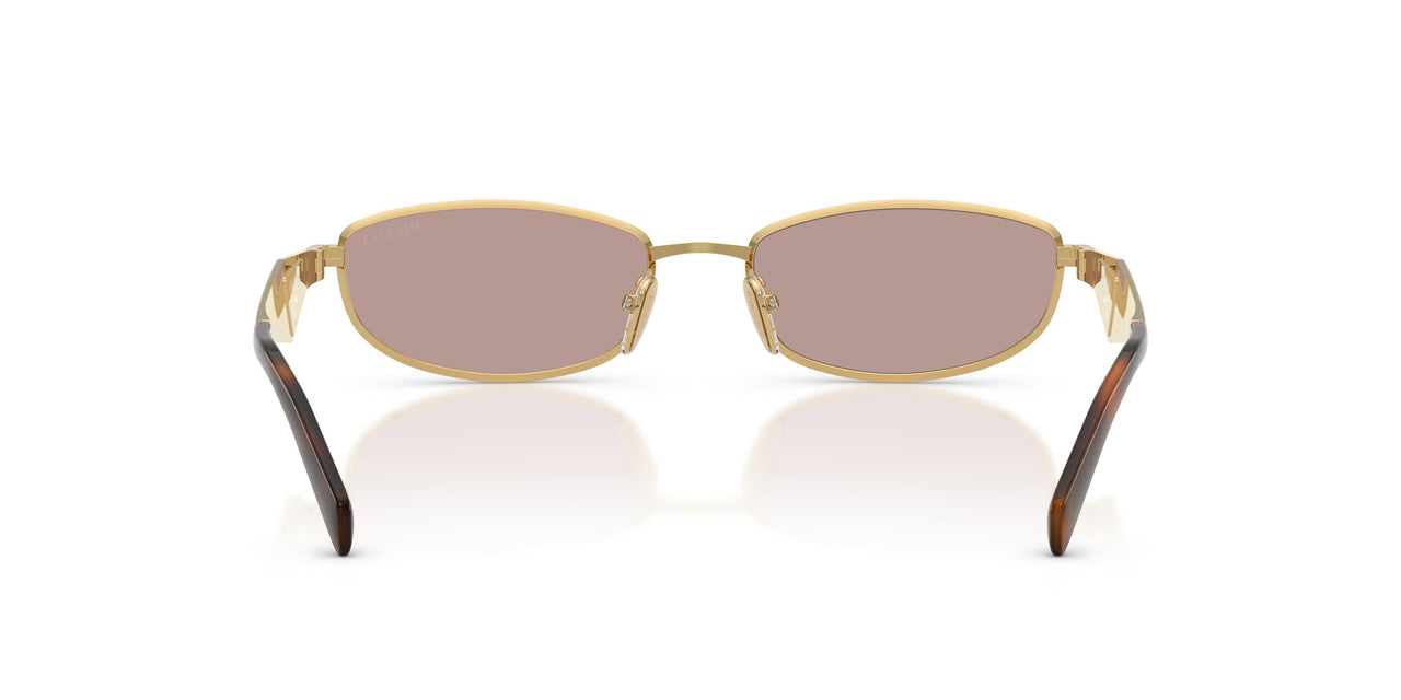 5AK20I - Gold - Light Purple Brown