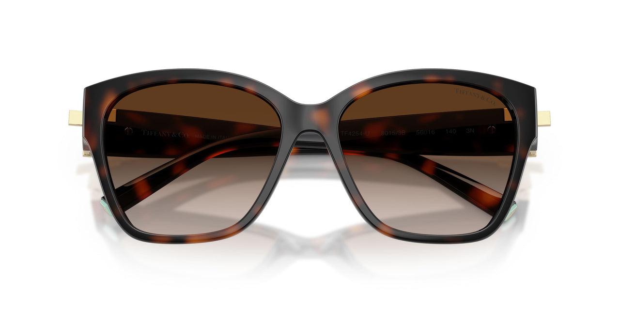 80153B - Tortoise - Brown Gradient
