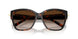 80153B - Tortoise - Brown Gradient