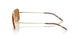 503553 - Gold - Cognac
