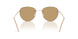 300273 - Gold - Brown