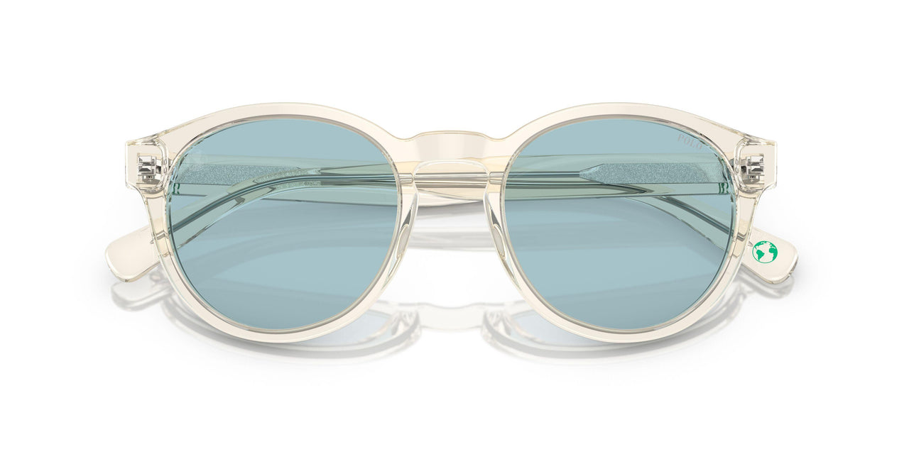 503480 - Grey - Light Azure