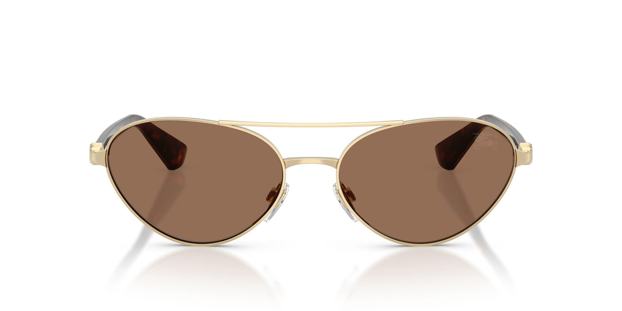 110973 - Gold - Dark Brown