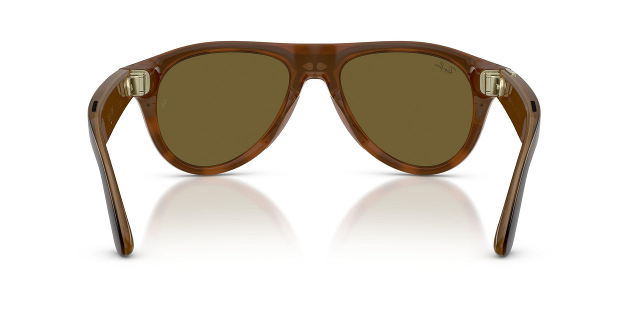 690573 - Tortoise - Dark Brown