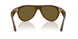 690573 - Tortoise - Dark Brown