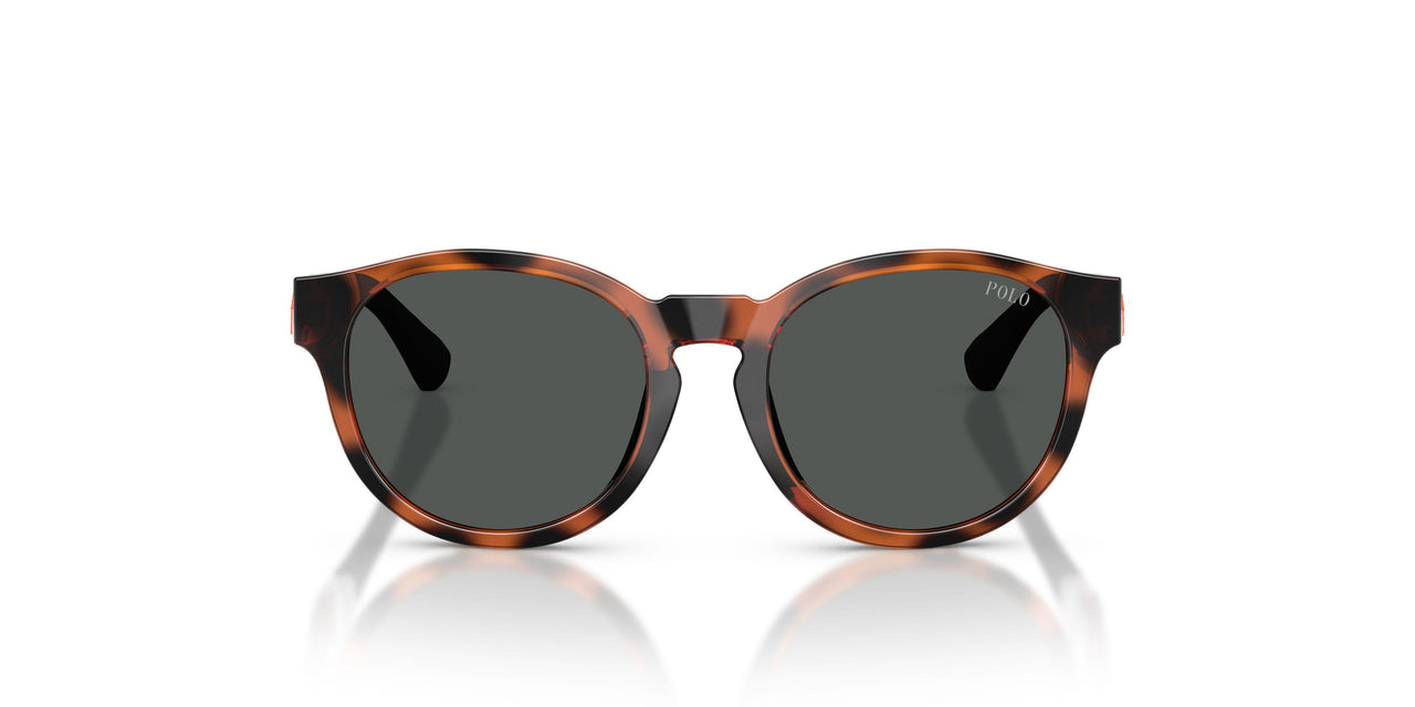 597487 - Tortoise - Dark Grey