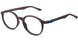 01 - BFLEX B-GENUINE BROWN BLUE