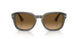 1103M2 - Grey - Brown Gradient Polar