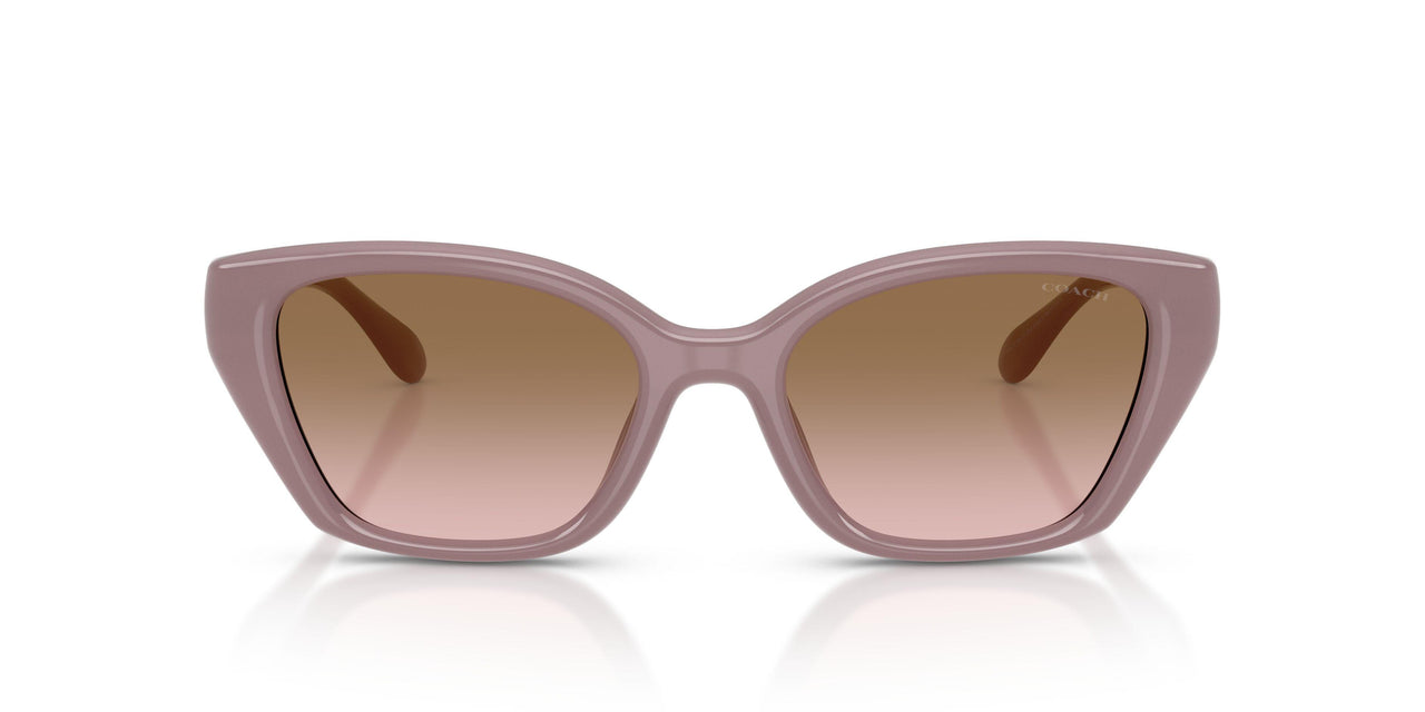 549511 - Brown - Brown Peach Gradient