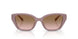 549511 - Brown - Brown Peach Gradient
