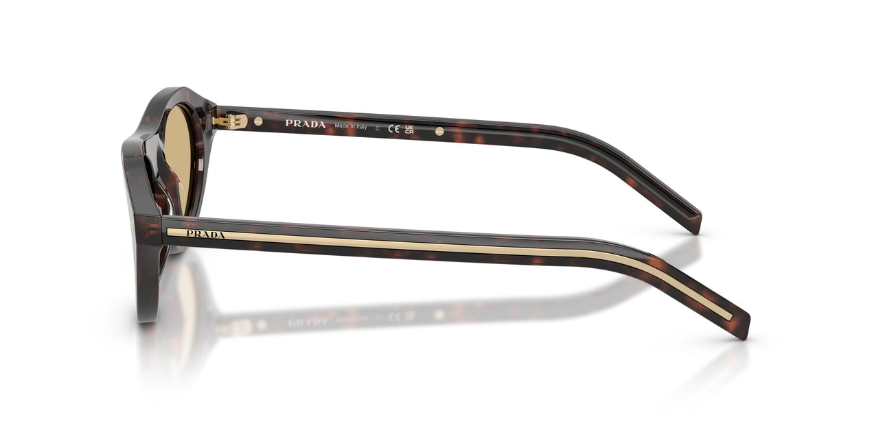 17N70R - Tortoise - Light Brown