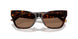 500273 - Tortoise - Dark Brown