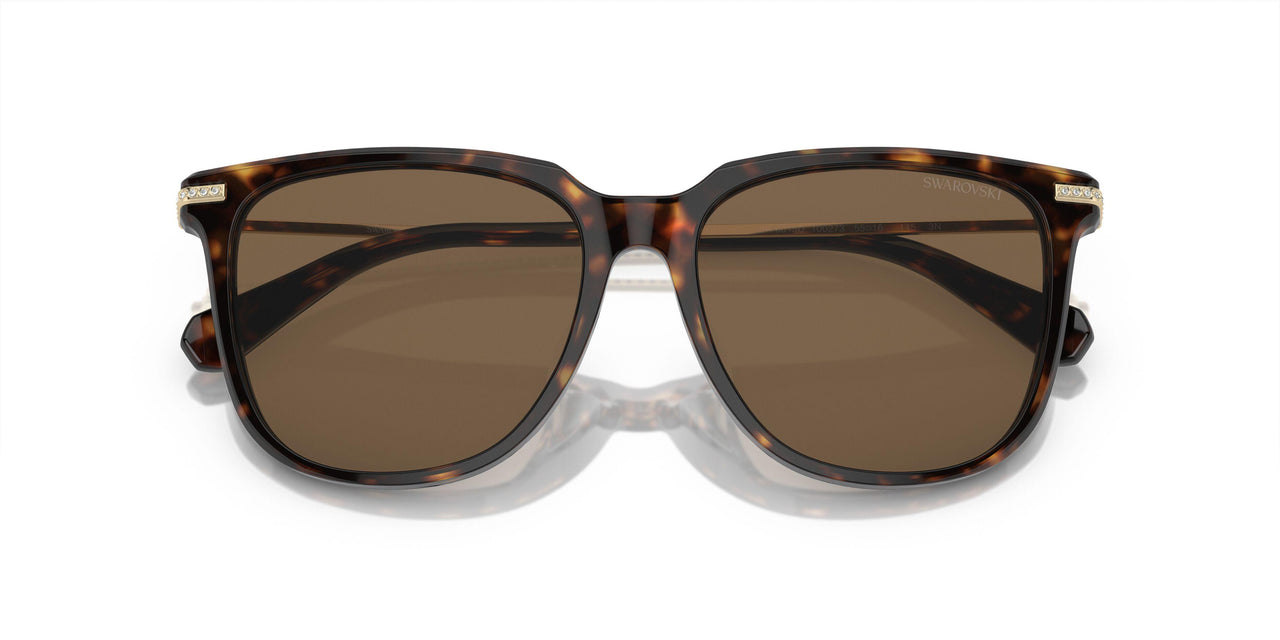 100273 - Brown - Brown