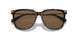 100273 - Brown - Brown