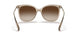 580213 - Brown - Gradient Brown