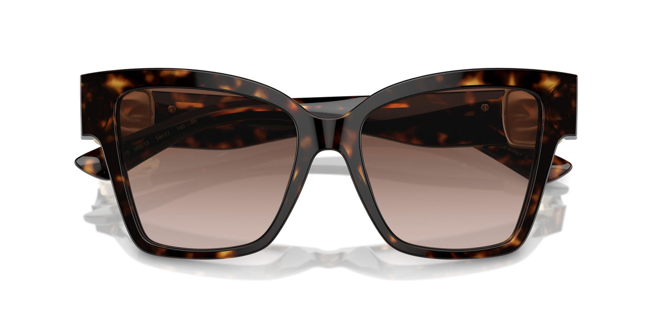 502/13 - Tortoise - Brown Gradient
