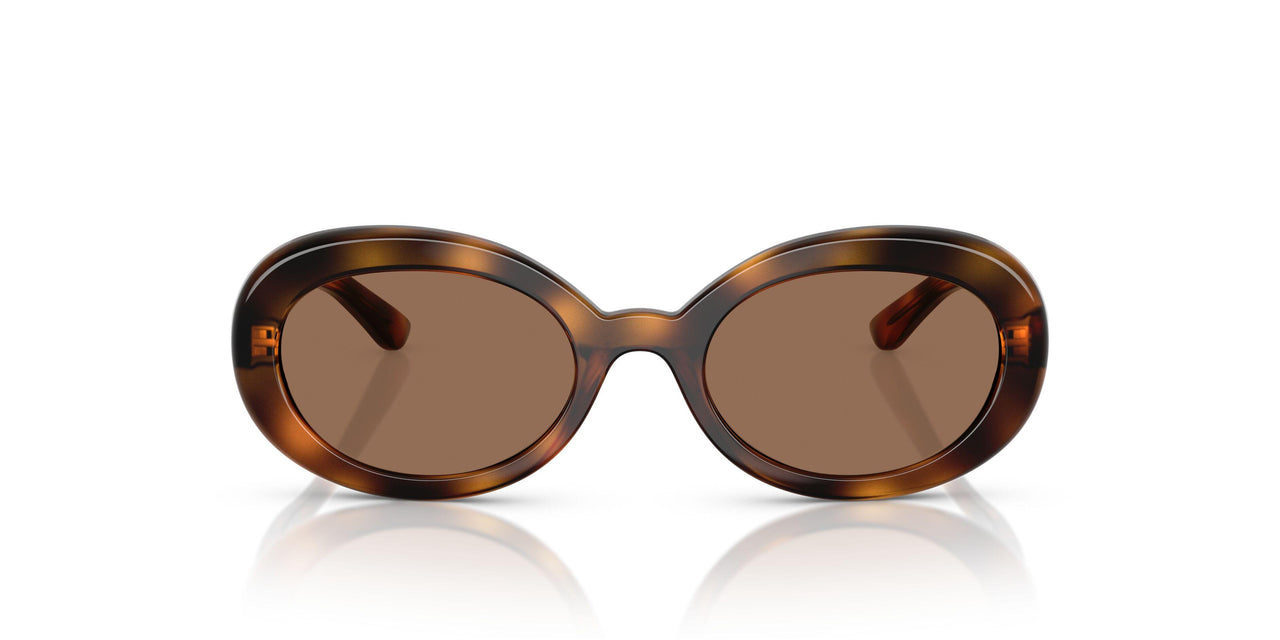 502/73 - Tortoise - Dark Brown