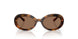 502/73 - Tortoise - Dark Brown