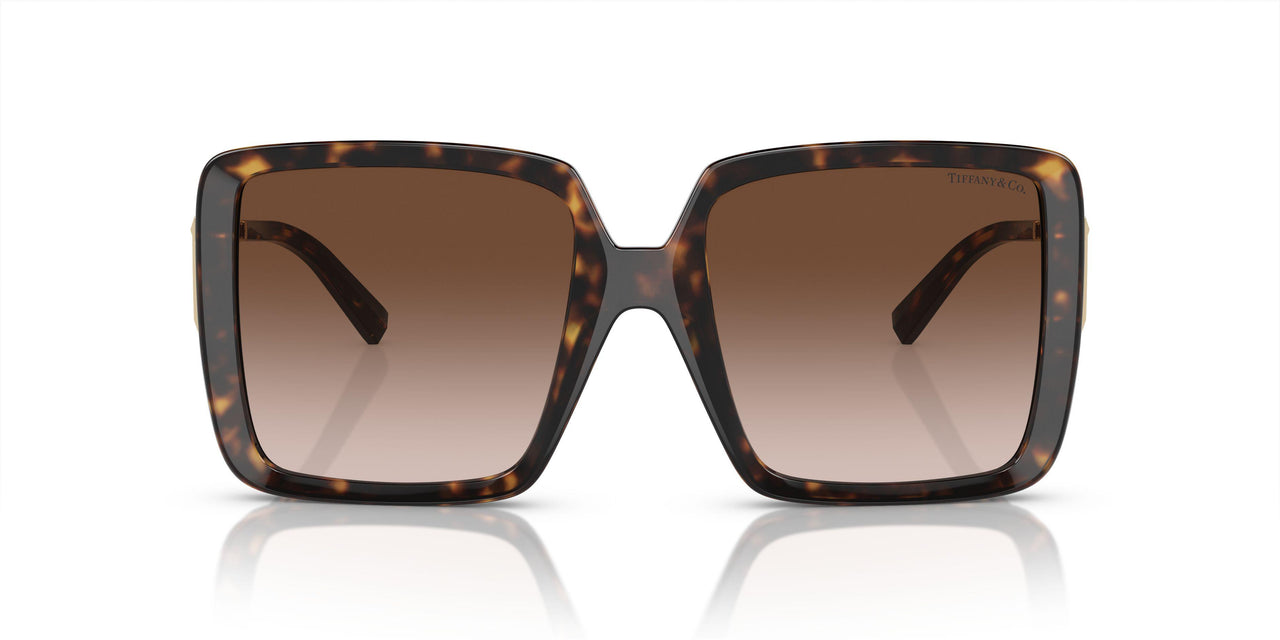 80153B - Tortoise - Brown Gradient