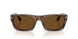 120857 - Tortoise - Brown Polar