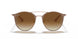 907151 - Light Brown - Clear Gradient Brown