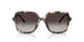 31728G - Tortoise - Grey Gradient