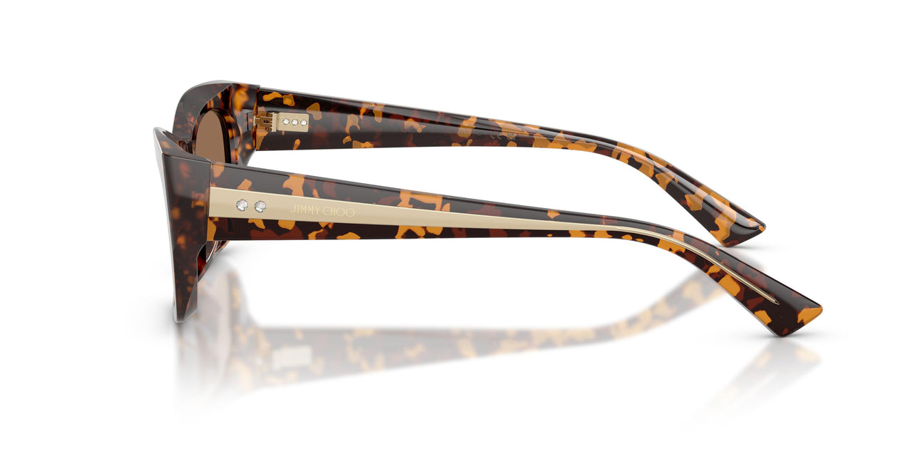 512173 - Tortoise - Dark Brown