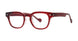 PLASTICS I BENEATH Eyeglasses