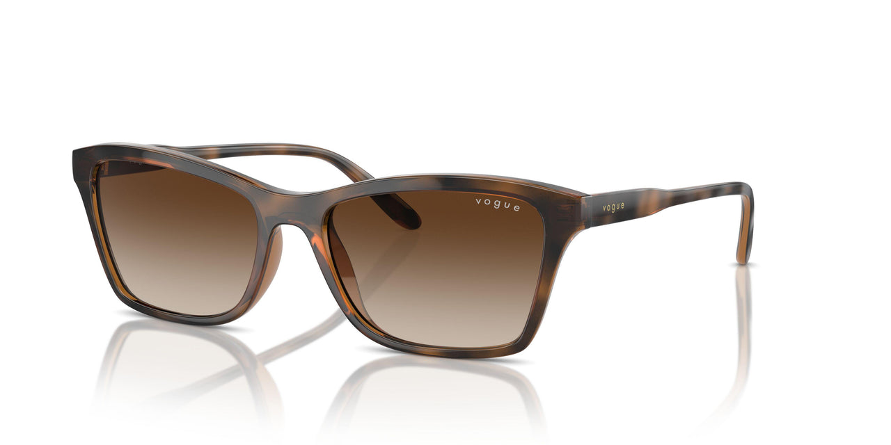 238613 - Brown - Brown Gradient