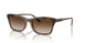 238613 - Brown - Brown Gradient