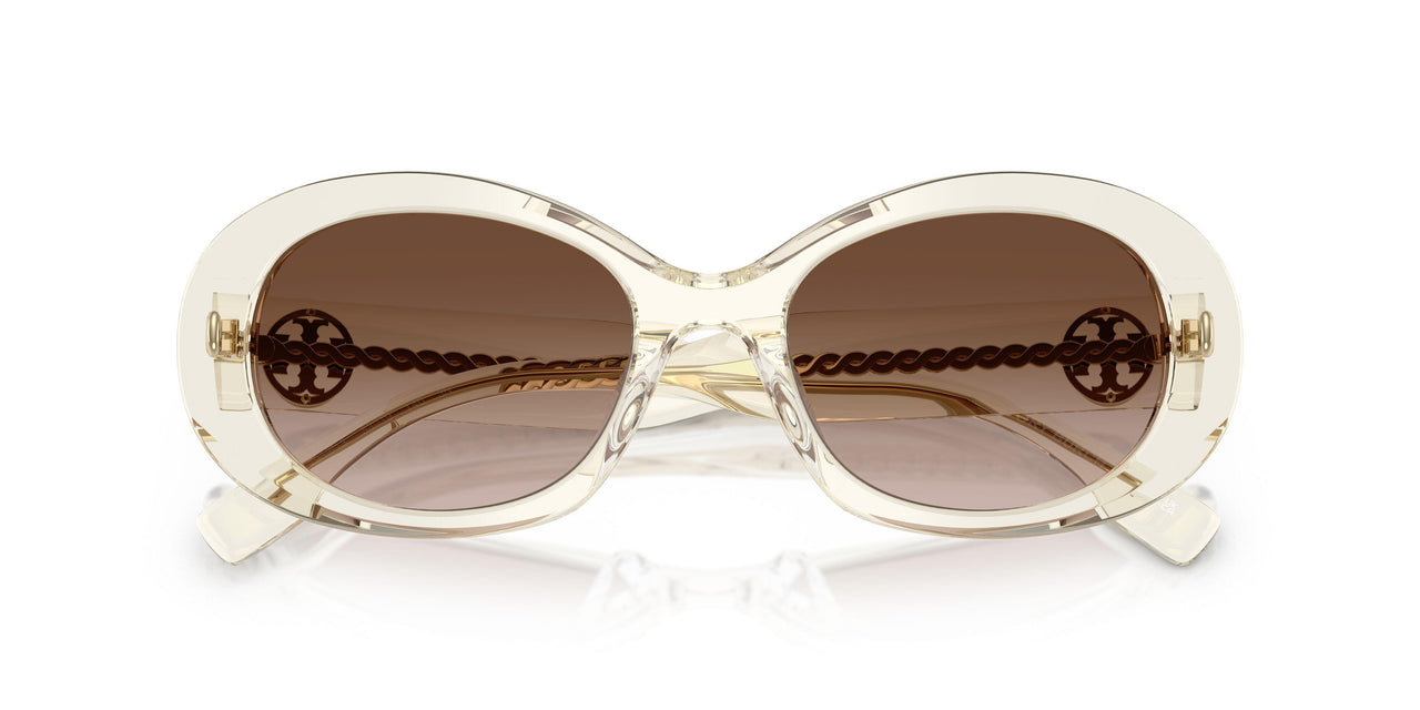 195213 - Transparent - Brown Gradient