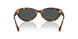 513487 - Tortoise - Grey