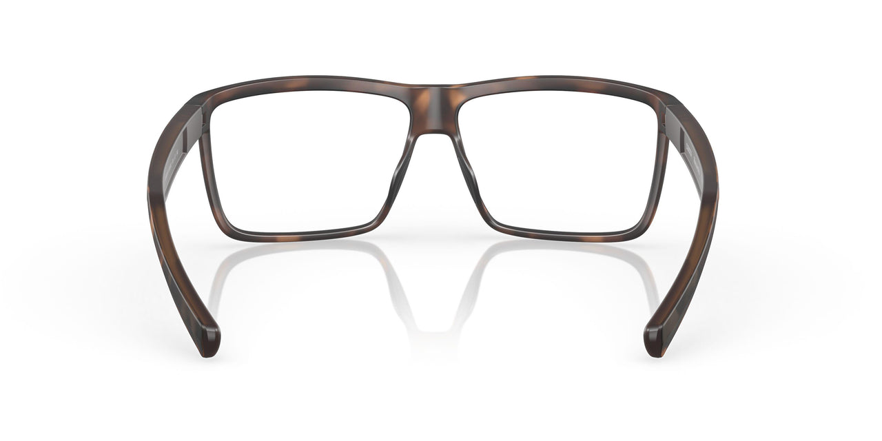 901602 - Tortoise