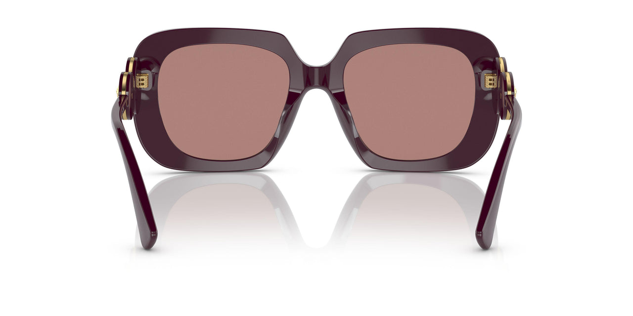 538273 - Bordeaux - Brown