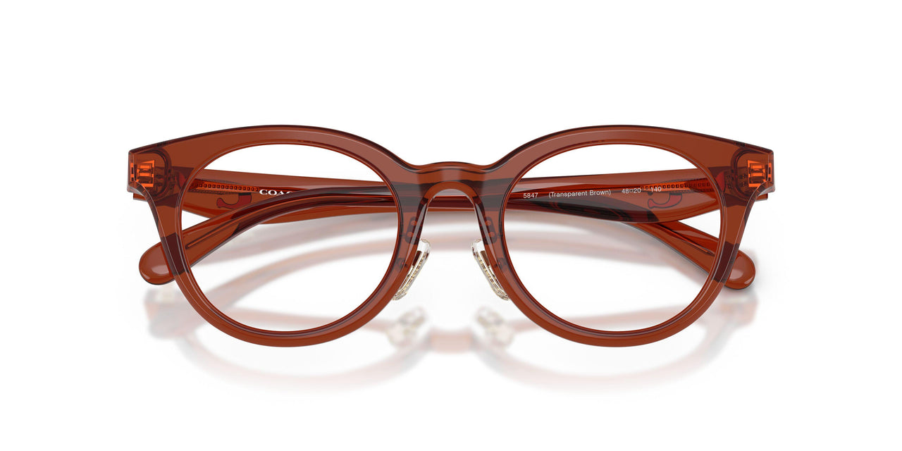 5847 - Brown