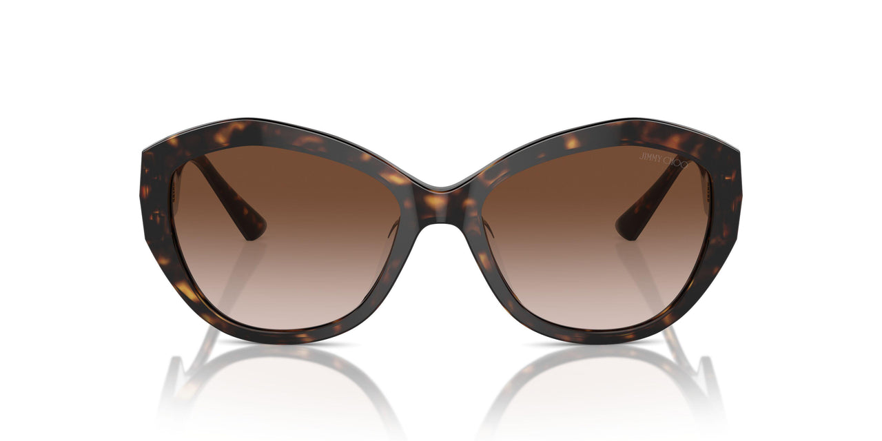 500213 - Tortoise - Gradient Brown