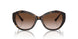 500213 - Tortoise - Gradient Brown